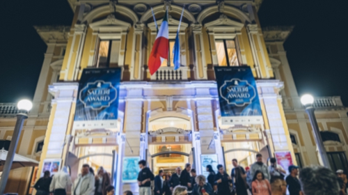 Festival del Circo, Pubblico
