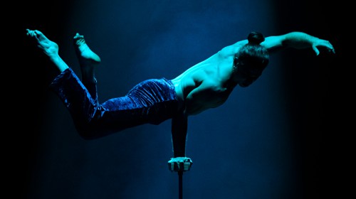 Festival Internazionale del Circo d'Arte