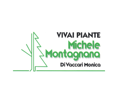 Michele Montagna